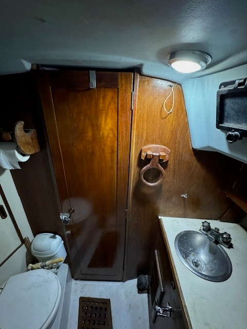 image5 (1)