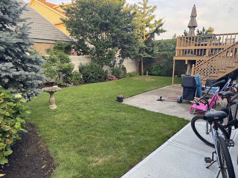 Backyard South (1)