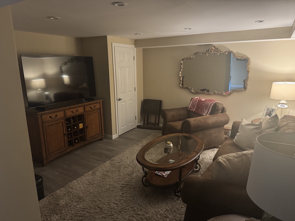 Basement Living Room 3